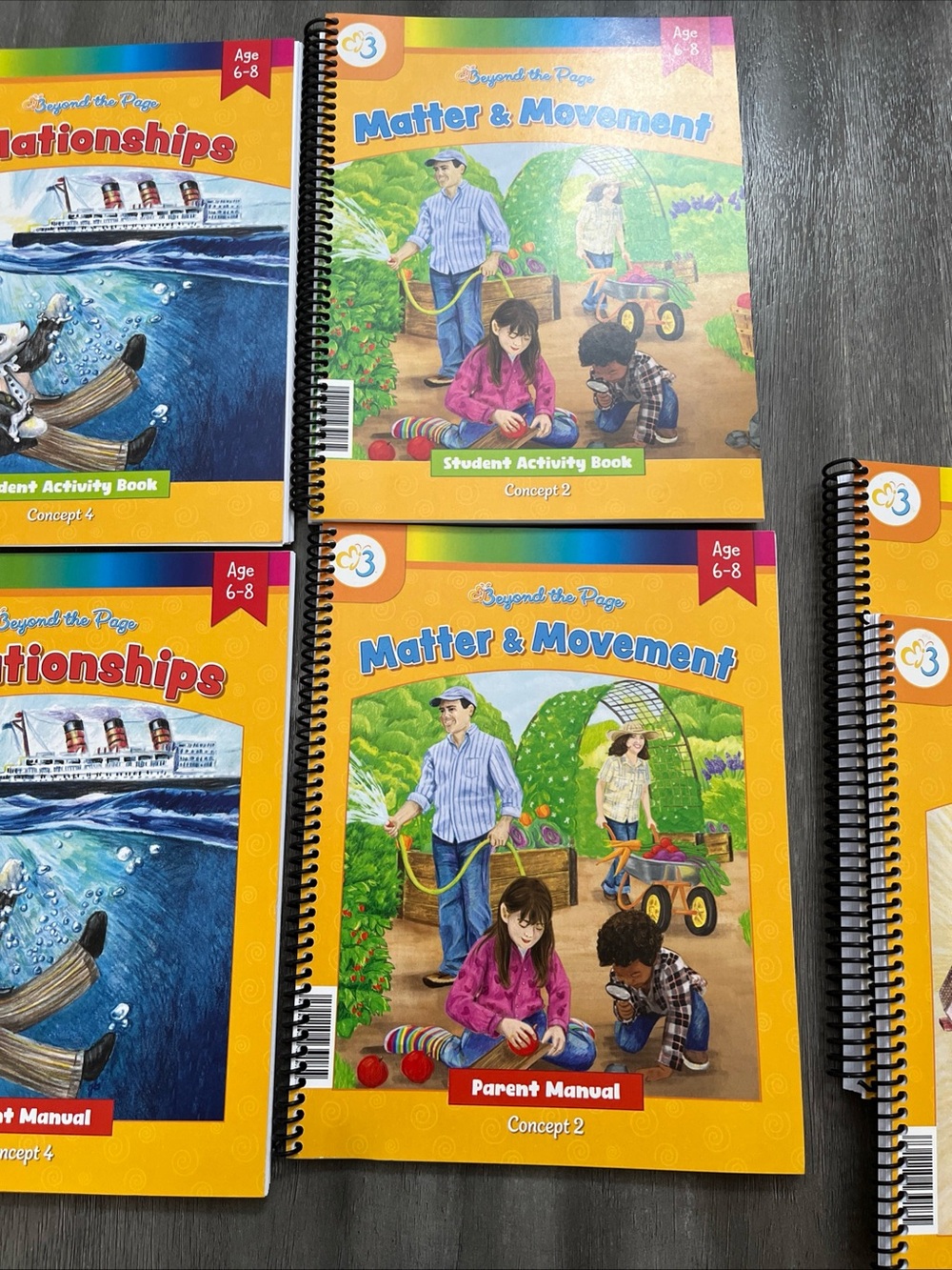 Moving Beyond The Page Homeschooling Curriculum (Set of 4) - Picture 7 of 8
